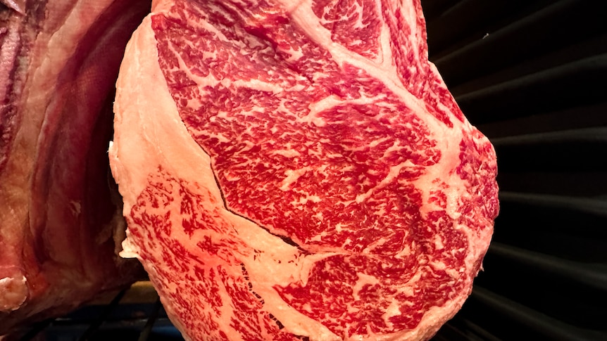 A close up of aged wagyu meat. 