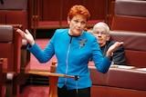 Pauline Hanson throws her hands up in the air during a speech to the Senate.