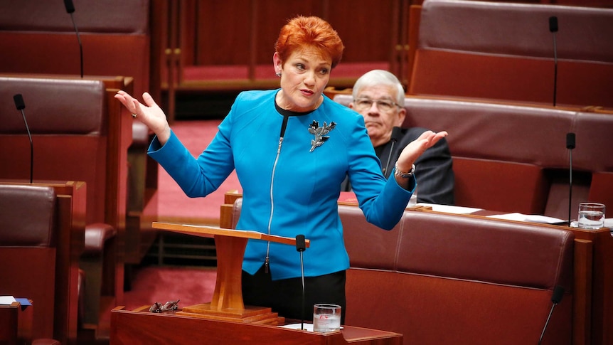 Pauline Hanson throws her hands up in the air during a speech to the Senate.