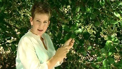 Growing Stephanotis - Gardening Australia