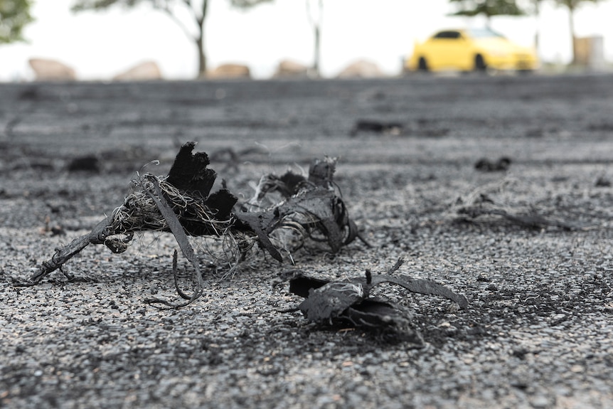 Burnt tyre rubber litters some bitumen 