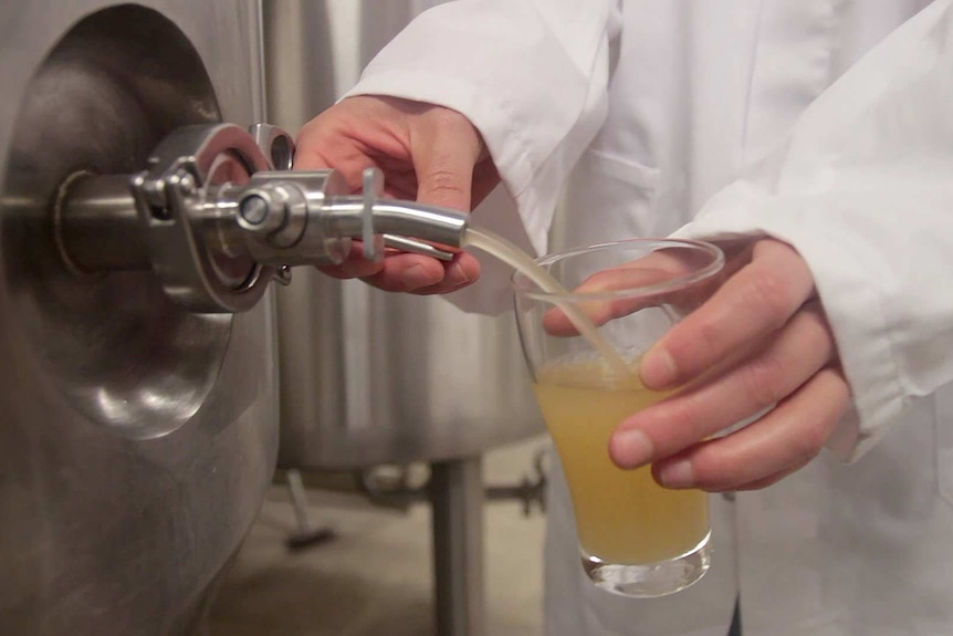 Adi Piersol pours a craft beer from a large vat