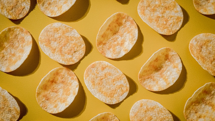 A top-down photograph of a number of individual potato chips laid out on a table