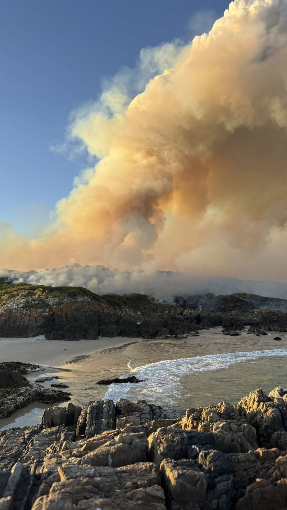 Incendio en la cuenca de Diana, Ned Bramich