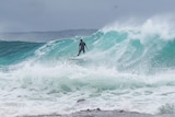 A surfer takes on the huge swell at Snapper Rocks.
