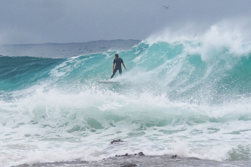 A surfer takes on the huge swell at Snapper Rocks.