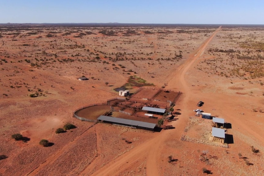 Photo of a cattle station in the desert