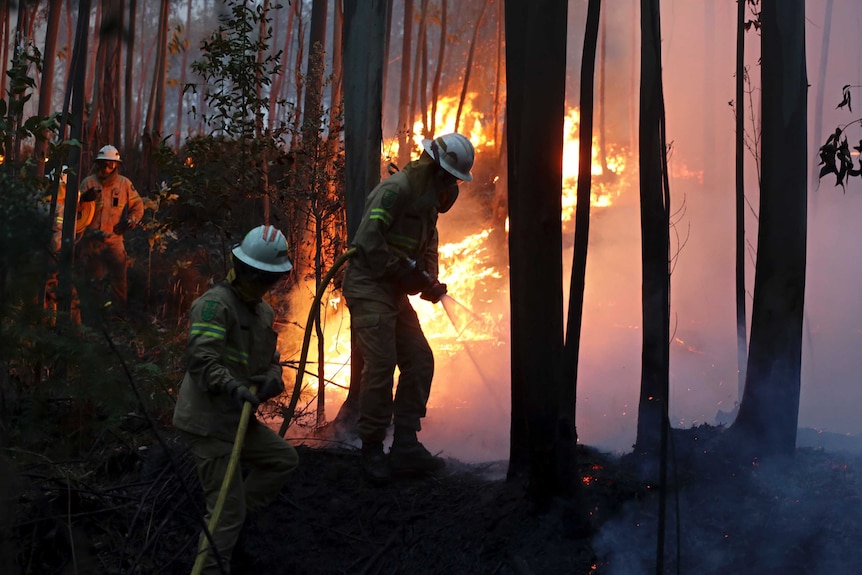 Firefighters hose water on embers burning before roaring flames.