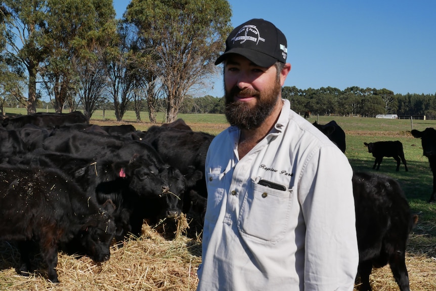 Jarrod Carroll standing in front of angus cattle