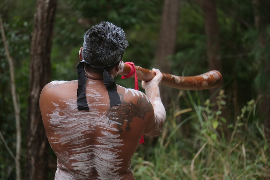 A young man with white body paint plays the didgeridoo, bushland behind.