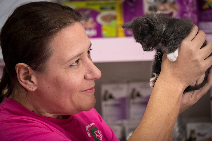 Kirstie Scicluna wears a pink Pets Haven tshirt and holds a small grey kitten close to her face to inspect it