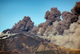 A wide landscape photograph shows three-quarters of Mt Etna, spewing a column of smoke against a clear sky.