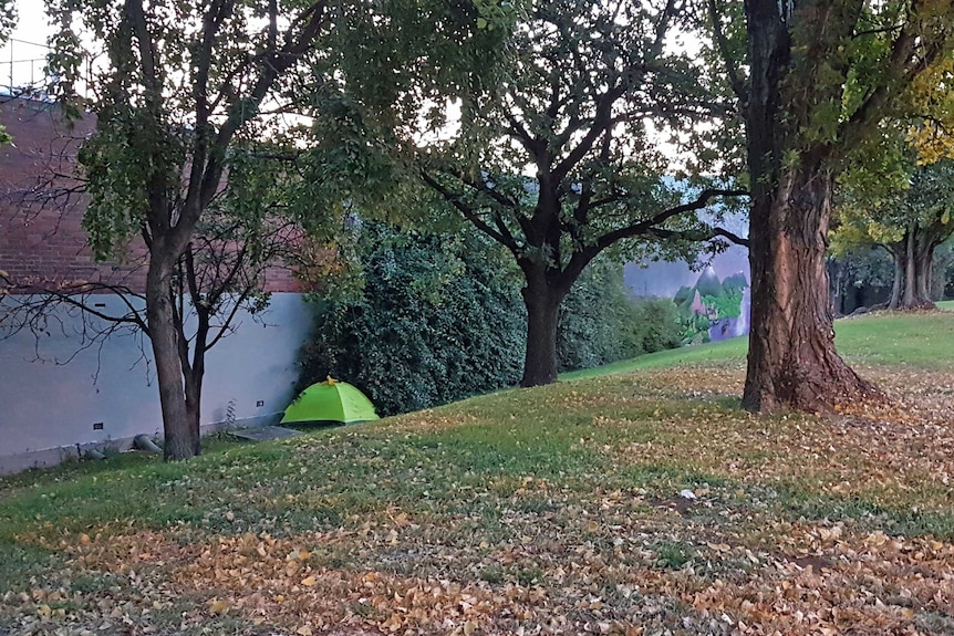 A small yellow tent next to a large brick wall, partly hidden by a hedge