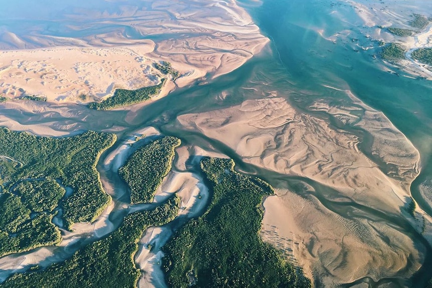 An overhead view taken from a plane of a mottled landscape of trees, water and sand.