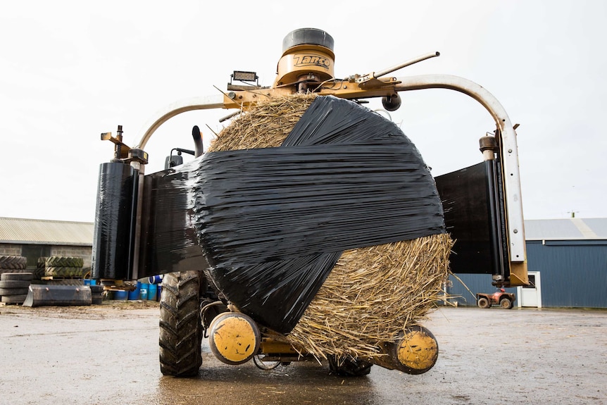 Latrobe hay is wrapped with protective sheeting for the journey to regional NSW