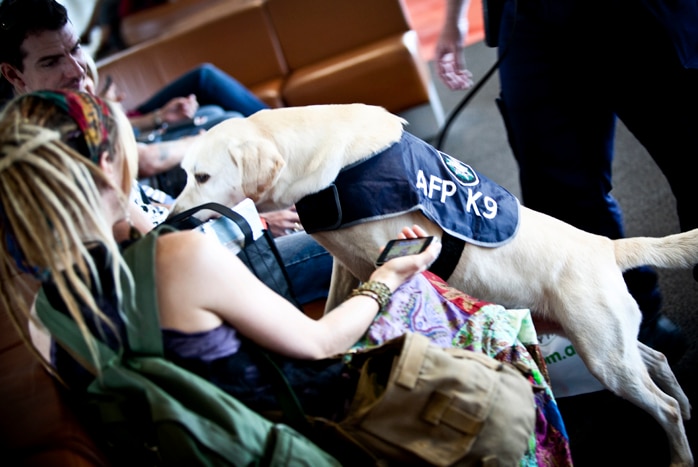 Sniffer dog checks bags