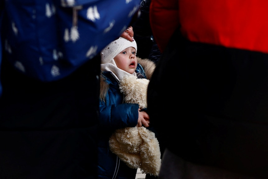 A young child wearing a white beanie and blue jacket holds a stuffed animal.