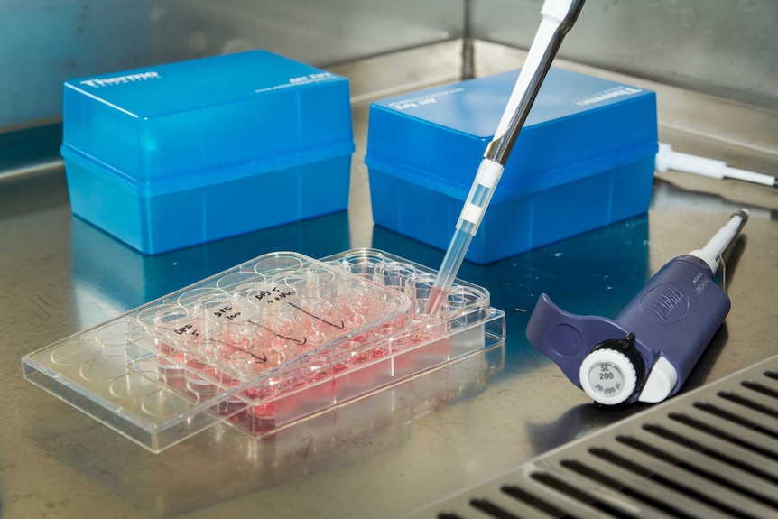 Science lab equipment sits on a bench.