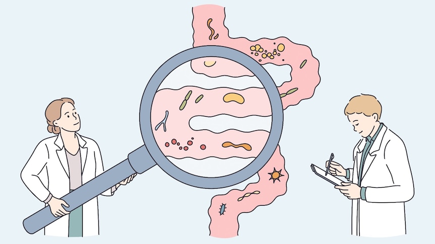 A cartoon of a woman and a man in white coats holding a large magnifying glass to an intestine