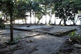 Houses damaged by tsunami in Solomon Islands