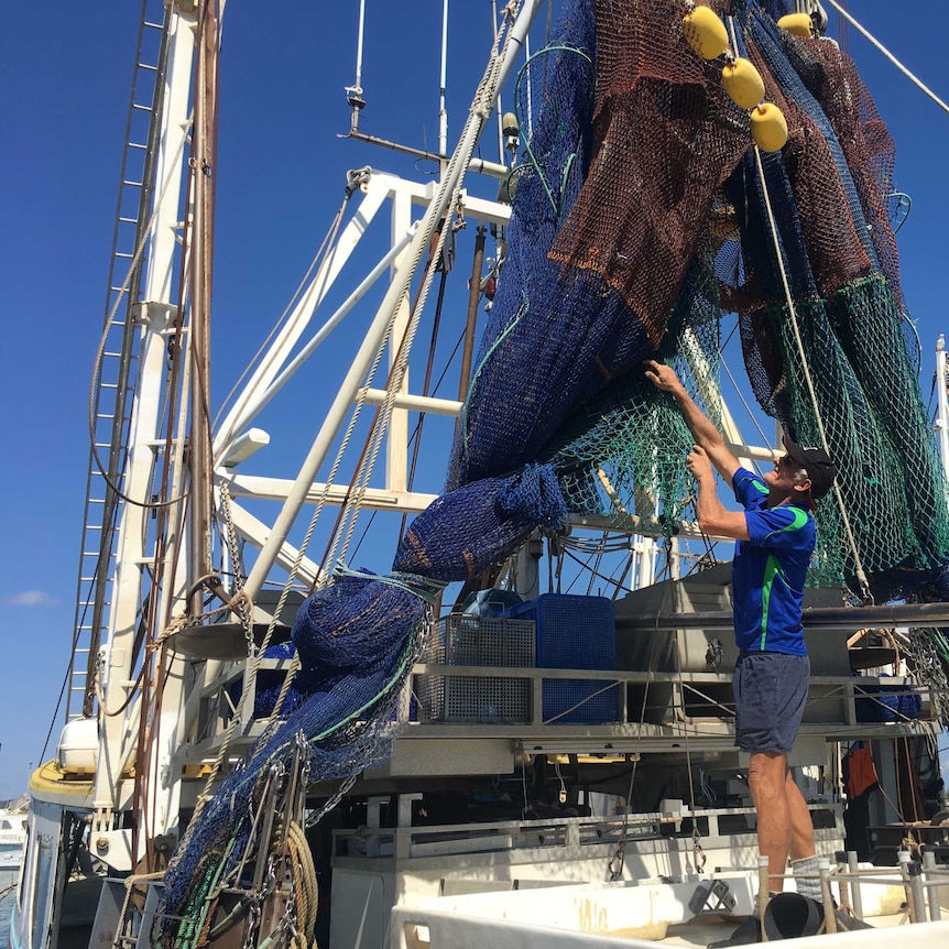 Brett Bower checks his fishing nets at Bowen harbour