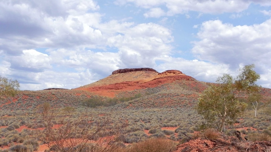 A mesa and plain covered in spinifex