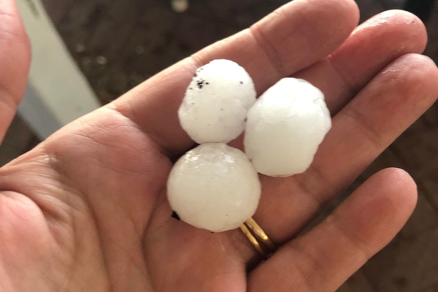 Close up of someone's hand holding three large hail stones