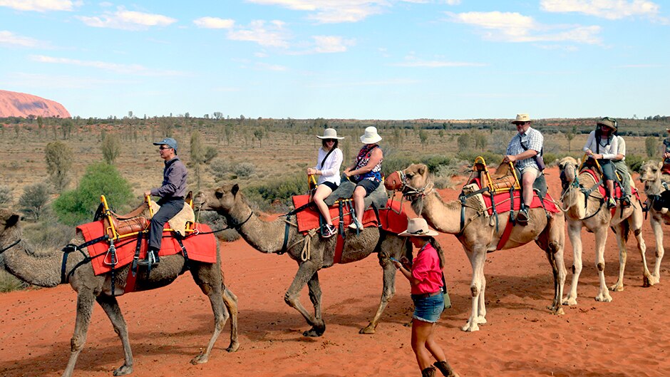 Uluru Camel Tours