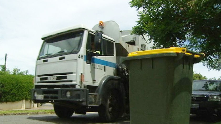 Garbage truck and bin