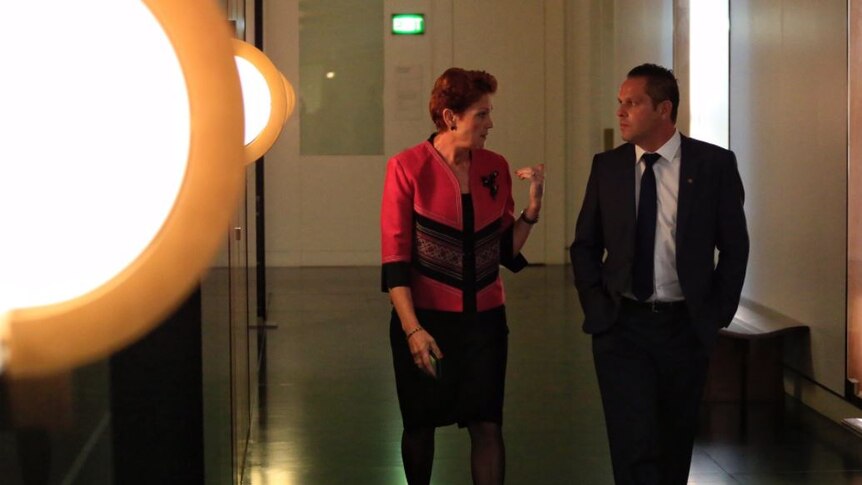 Pauline Hanson wears pink and briefs Peter Georgiou in the hallways of Parliament on his first day.