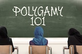 A graphic showing three Muslim women sitting in front of a blackboard that reads "Polygamy 101".