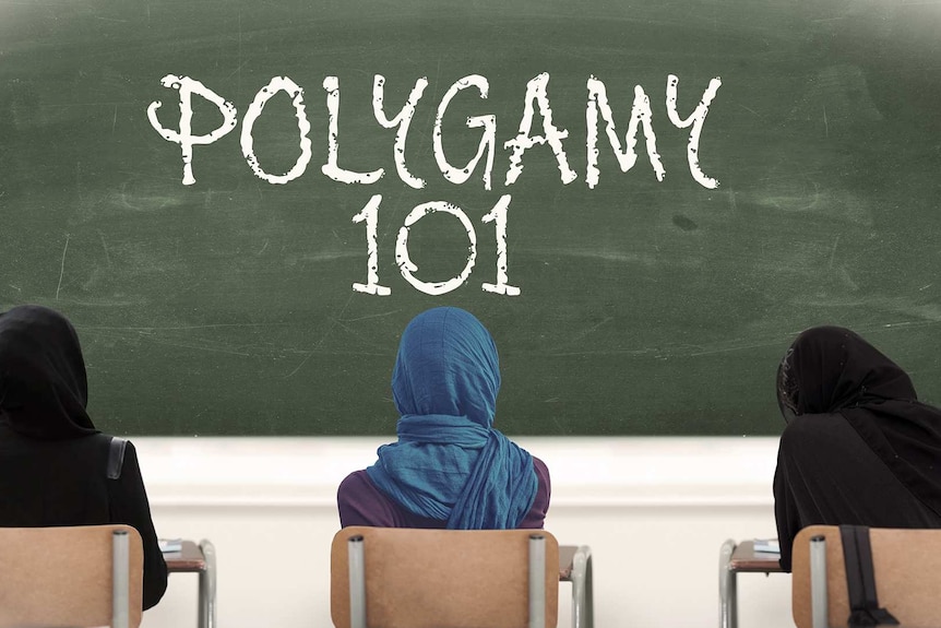 A graphic showing three Muslim women sitting in front of a blackboard that reads "Polygamy 101".