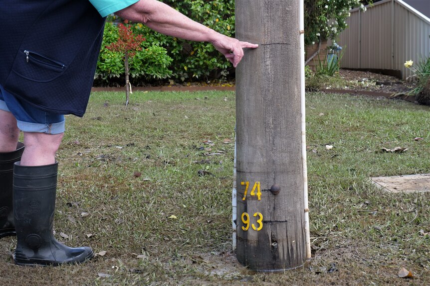 A white hand points to a line on an electricity pole which appears nearly 2 feet higher than 1974.