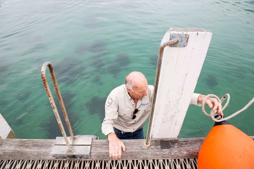 Tony Symes is seen from above against translucent green water as he climbs on the jetty, putting out an orange buoy.