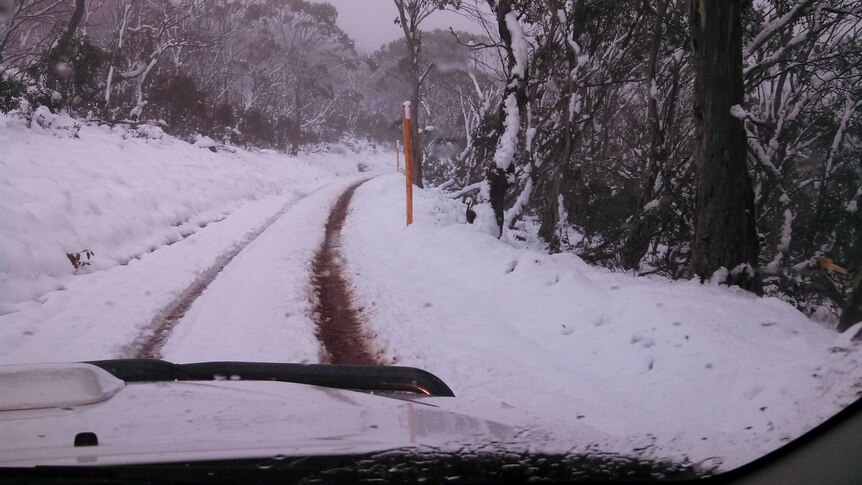 A blanket of snow has closed the Mount Franklin Road near the visitors centre.