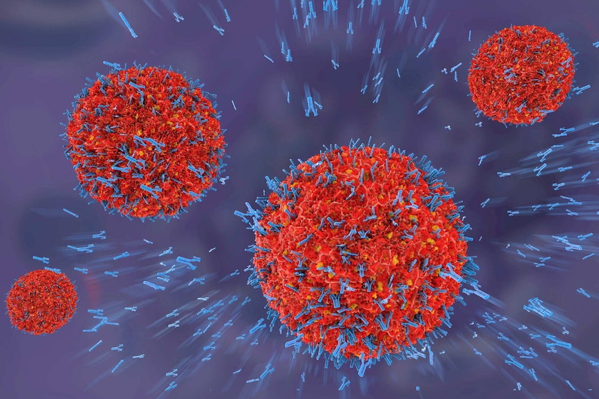 3D illustration of antibodies attacking virus particles in the bloodstream.
