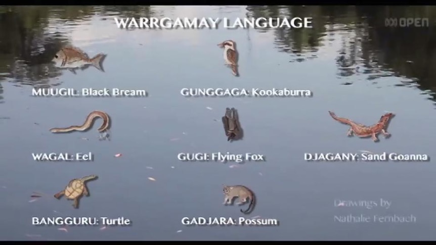 Animals superimposed over lake, text reads "Warrgamay Language"