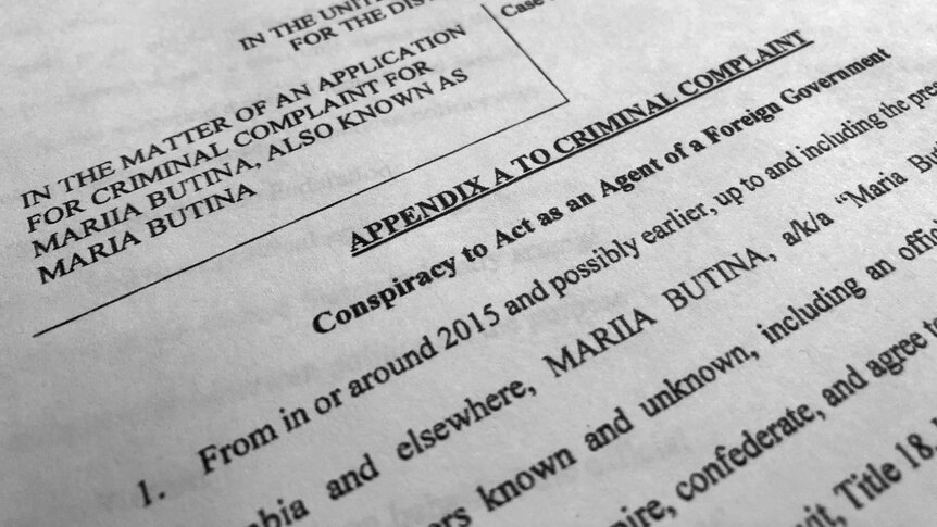 Court papers shows part of the criminal complaint against Maria Butina.