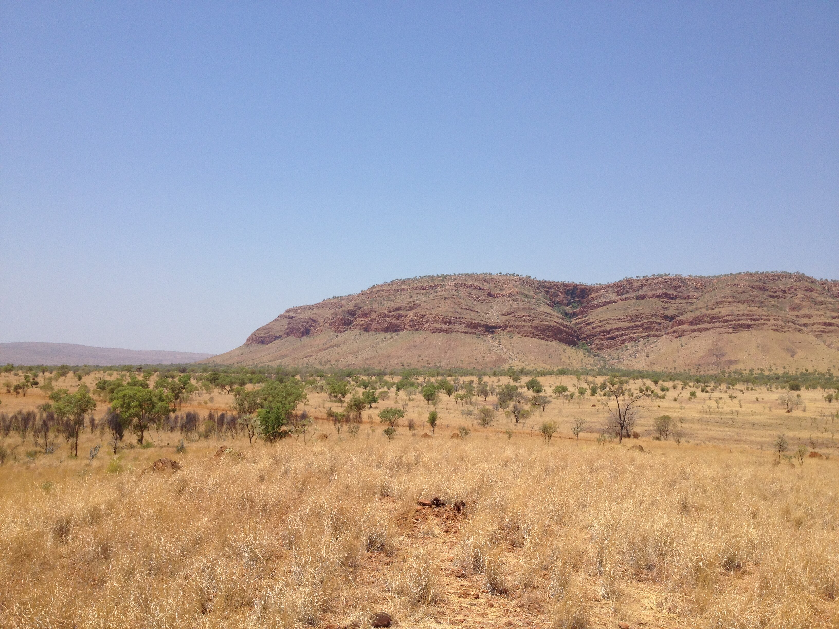 1fbc51b0bece20d734cc417a5aea1064?impolic