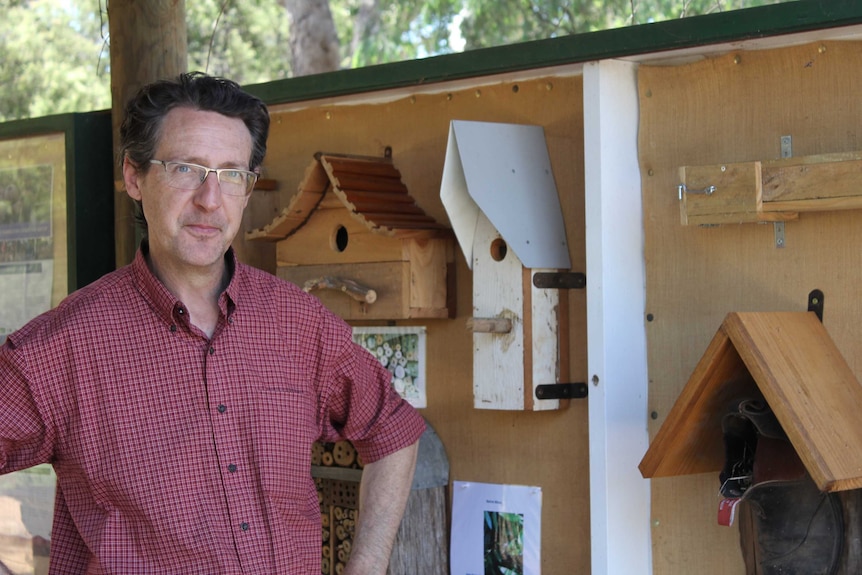 Man in plaid shirt smiles as he stands in front of a plywood wall hosting a collection of wooden nest boxes.