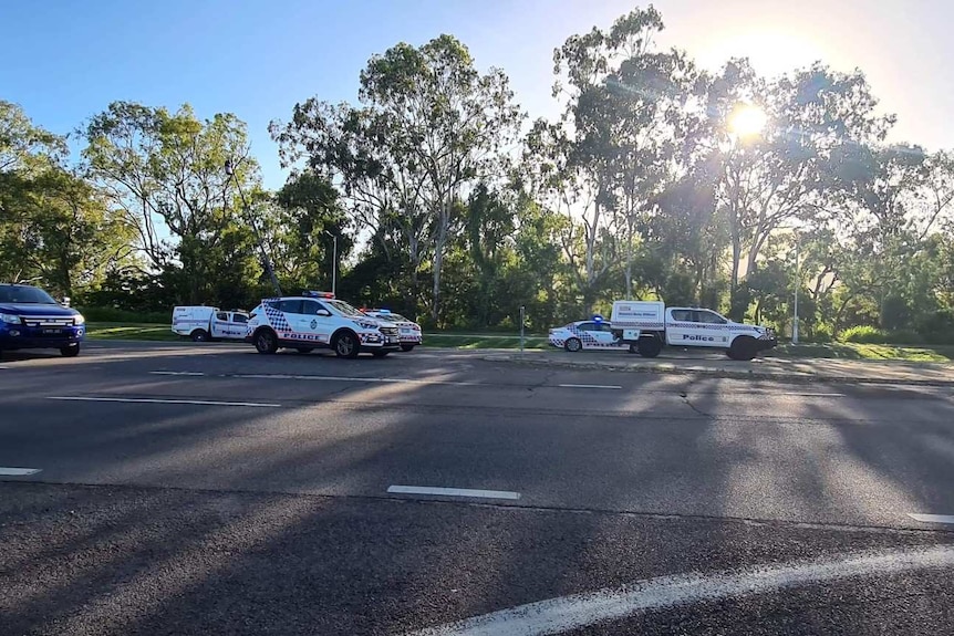 Police cars and vans on a road.