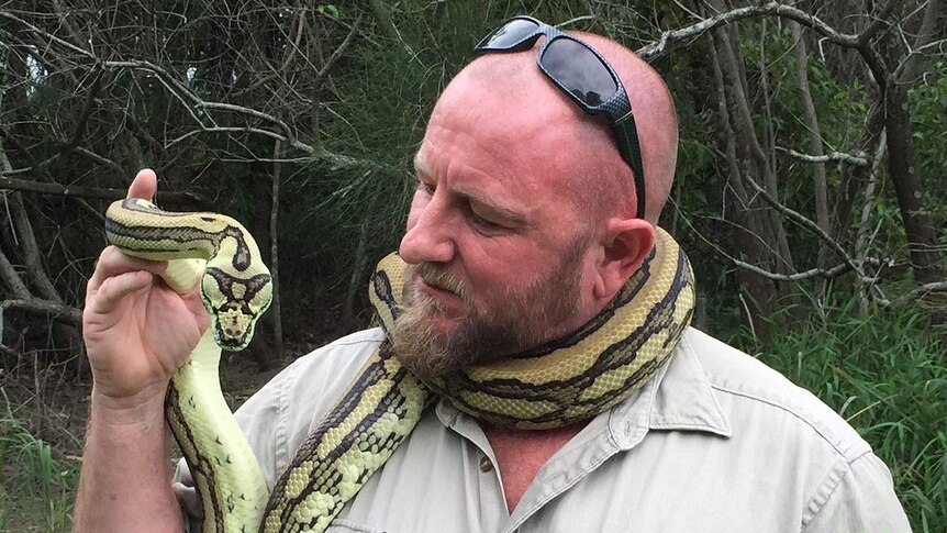 Snake catcher Tony Harrison with a carpet python