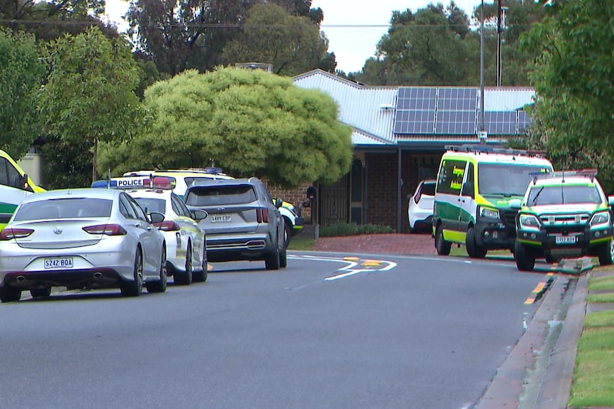 Police and ambulances in a suburban street