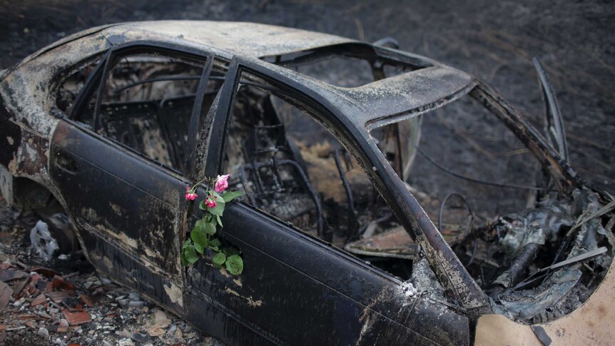 A blacked, burned-out car is adorned in a bunch of three small, pink flowers