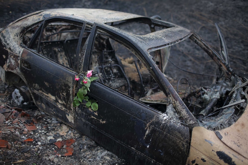 A blacked, burned-out car is adorned in a bunch of three small, pink flowers