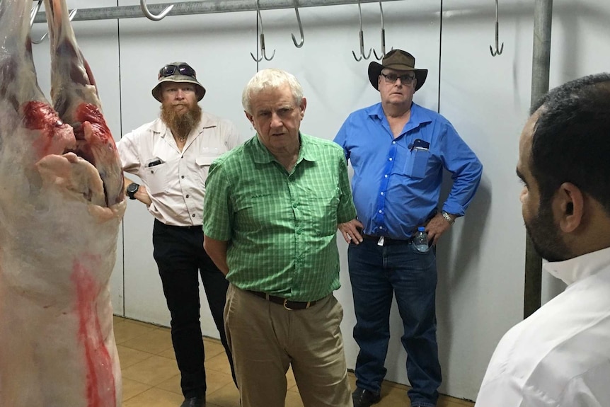 Sheep's carcase hangs on steel rails in white cool room as Australian and Middle East men stand in conversation