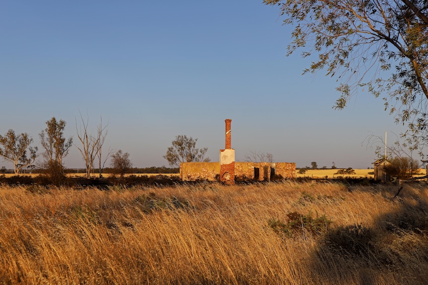 Brick chimney and crumbled rural building in long grassed paddock