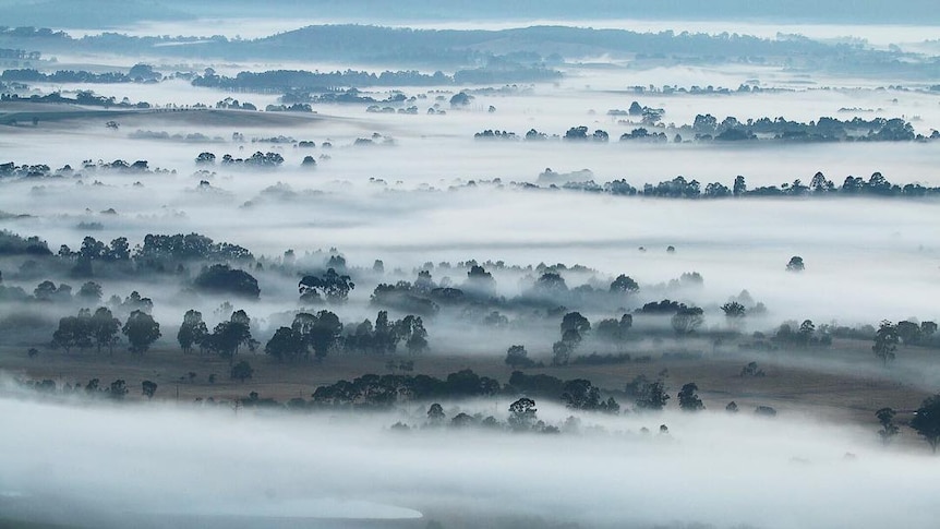 Low fog over the landscape in the Yarra Valley