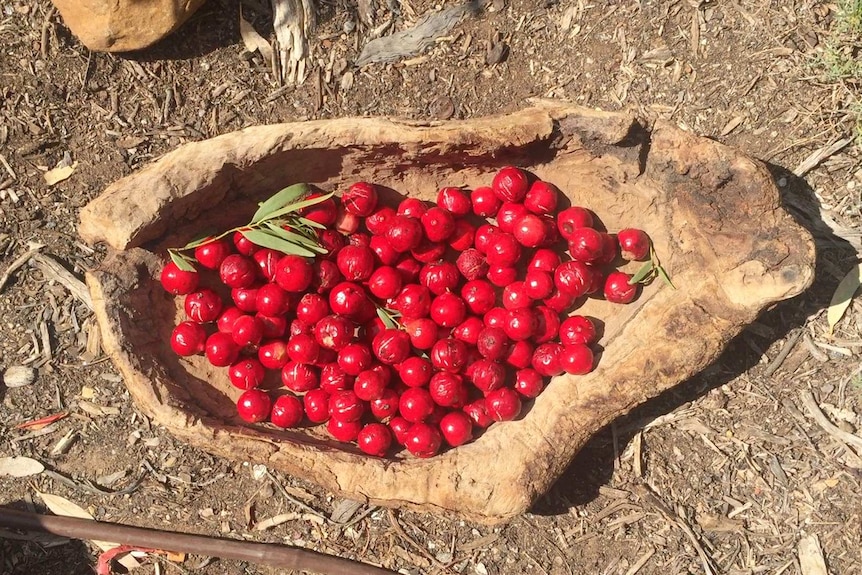 Quandongs in a traditional Aboriginal wooden bowl.