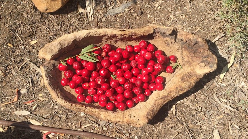 Quandongs in a wooden bowl.
